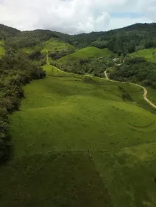 Lote/Terreno com 1 Quarto à venda, 30000m² no , São Pedro de Alcântara