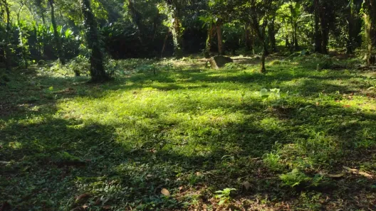 Lote/Terreno à venda, 3931m² no Bairro de Camburi, São Sebastião