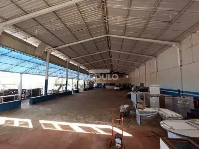Galpão/Depósito/Armazém para alugar, 1000m² no Segismundo Pereira, Uberlândia