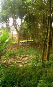 Lote/Terreno à venda, 3645m² no Dos Finco, São Bernardo do Campo