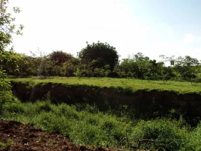 Lote/Terreno à venda, 4070m² no Parque Olaria, Santa Bárbara D'Oeste