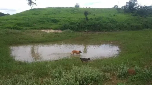 Lote/Terreno à venda, 20000m² no , Esmeraldas