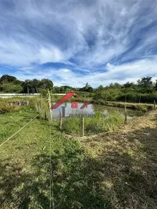 Fazenda/Sítio com 3 Quartos à venda, 10m² no , Turvolândia