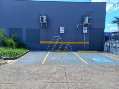 Sala Comercial com 1 Quarto à venda, 330m² no Fragata, Marília