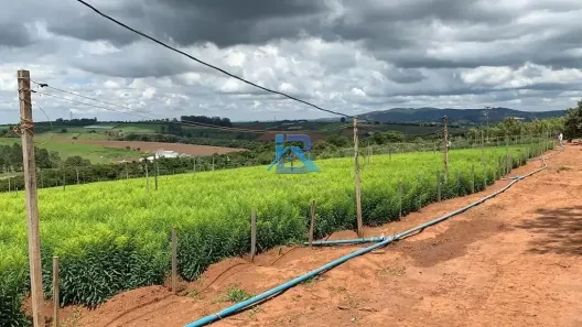 Lote/Terreno à venda, 121000m² no Campinho, Bragança Paulista