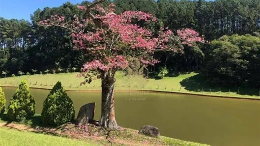Fazenda/Sítio com 7 Quartos à venda, 1000m² no Loteamento Cidade Administrativa, Jundiaí