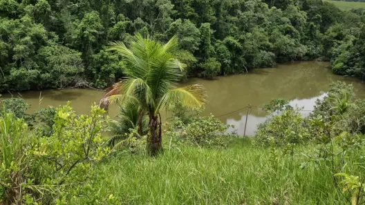 Fazenda/Sítio com 4 Quartos à venda, 73000m² no Belvedere, Serra
