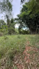 Lote/Terreno à venda, 5000m² no , Jambeiro