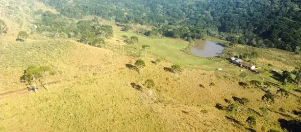 Fazenda/Sítio com 3 Quartos à venda, 1820000m² no , São Joaquim