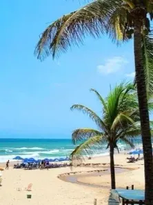 Apartamento com 1 Quarto para alugar, 45m² no Stella Maris, Salvador