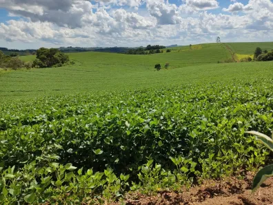 Fazenda/Sítio com 2 Quartos à venda, 60m² no , São Miguel Arcanjo
