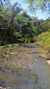 Fazenda/Sítio com 3 Quartos à venda, 300000m² no Itapoã I, Brasília
