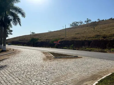 Lote/Terreno à venda, 30000m² no Anna Florência, Ponte Nova