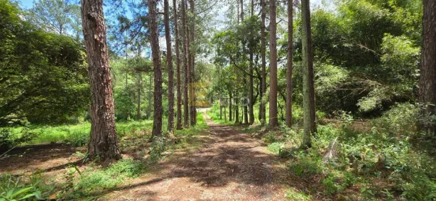 Lote/Terreno à venda, 54646m² no Núcleo Colonial Barão de Jundiaí, Jundiaí
