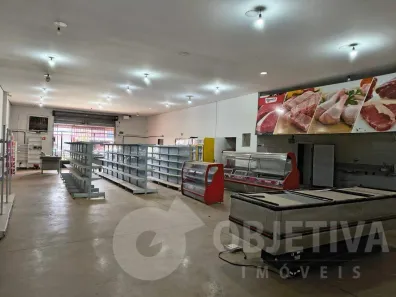 Ponto Comercial para alugar, 257m² no Loteamento Monte Hebron, Uberlândia