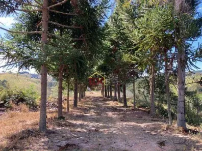 Fazenda/Sítio com 1 Quarto à venda, 500m² no Jardim Novo Horizonte, Lorena