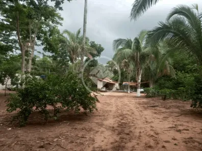 Fazenda/Sítio à venda, 5000m² no Centro, Acorizal