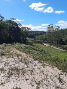 Fazenda/Sítio à venda, 20000m² no , Castelo