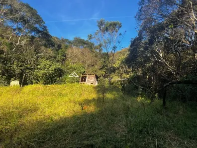 Lote/Terreno à venda, 48000m² no , Santo Antônio do Pinhal
