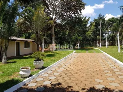 Fazenda/Sítio com 3 Quartos à venda, 400m² no Jardim Canaã, Uberlândia
