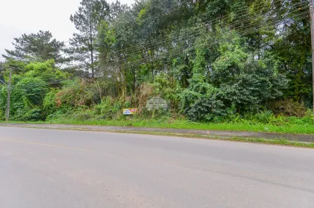 Lote/Terreno à venda, 8709m² no Colonia Santa Gabriela, Almirante Tamandaré