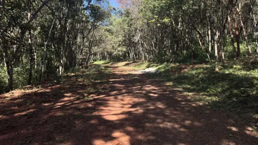 Lote/Terreno à venda, 1000m² no Povoado Palhano (Piedade do Paraopeba), Brumadinho