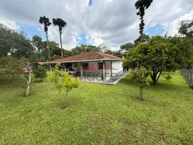Fazenda/Sítio à venda, 11000m² no Mandirituba, Mandirituba
