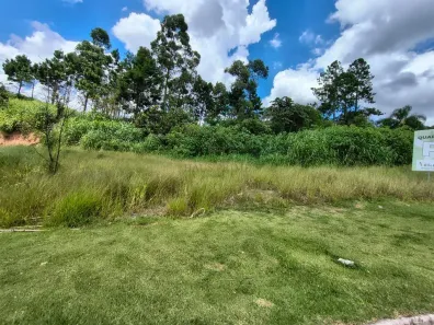 Lote/Terreno à venda, 175m² no Parque Alexandre, Cotia