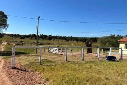 Fazenda/Sítio com 1 Quarto à venda, 200m² no Setor Castelo Branco, Goiânia