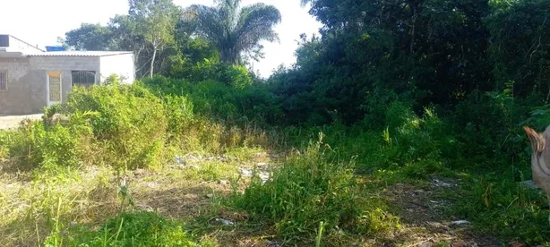 Lote/Terreno à venda, 286m² no Chácara Glória, Itanhaém