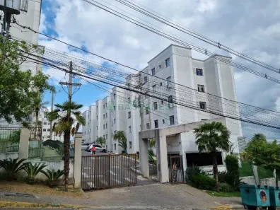 Apartamento com 2 Quartos à venda, 41m² no Bela Vista, Caxias do Sul