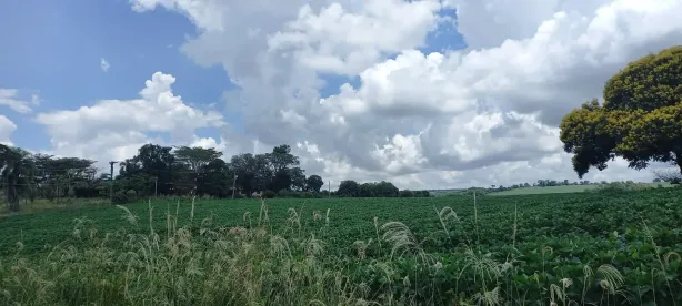 Lote/Terreno à venda, 6500m² no , Salto de Pirapora