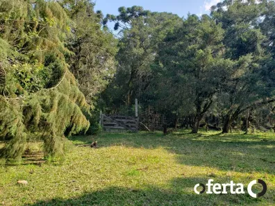 Fazenda/Sítio à venda, 40575m² no Centro, Araucária