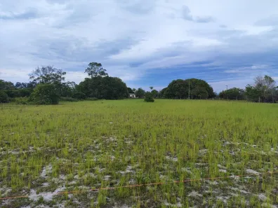 Fazenda/Sítio à venda, 5000m² no Penha, Quissamã