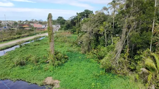 Lote/Terreno à venda, 350m² no Boraceia, Bertioga