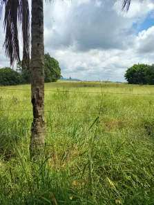 Fazenda/Sítio com 2 Quartos à venda, 169400m² no , Cássia dos Coqueiros