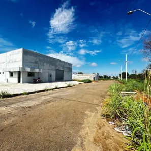 Galpão/Depósito/Armazém para alugar, 600m² no Plano Diretor Sul, Palmas