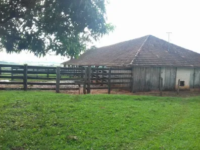 Fazenda/Sítio com 3 Quartos à venda, 300m² no , Martinópolis