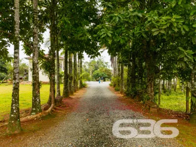 Fazenda/Sítio com 6 Quartos à venda, 370m² no Espinheiros, Joinville