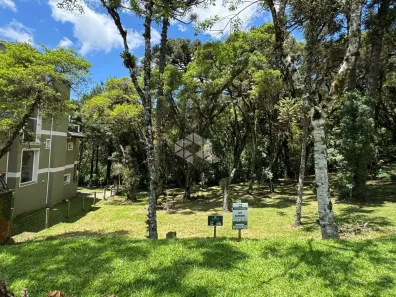 Lote/Terreno à venda, 595m² no Centro, Canela