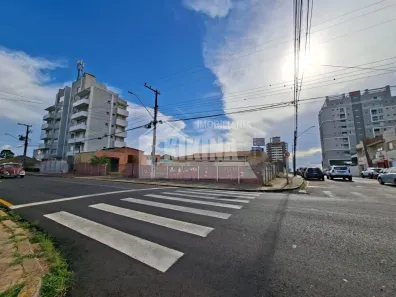 Lote/Terreno à venda, 462m² no Orfãs, Ponta Grossa