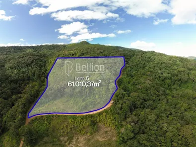Lote/Terreno à venda, 61010m² no , Benedito Novo