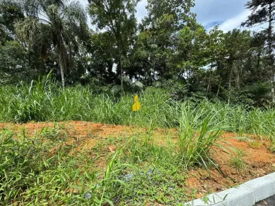Lote/Terreno à venda, 1600m² no Quintino, Timbó