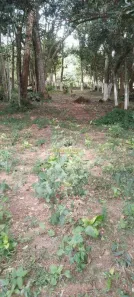 Fazenda/Sítio à venda, 5180m² no chácara sao luiz, Biritiba Mirim