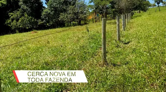 Fazenda/Sítio à venda, 3m² no , Araçu