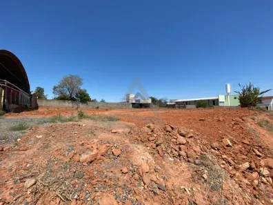 Lote/Terreno para alugar, 5300m² no Chácaras São Martinho, Campinas