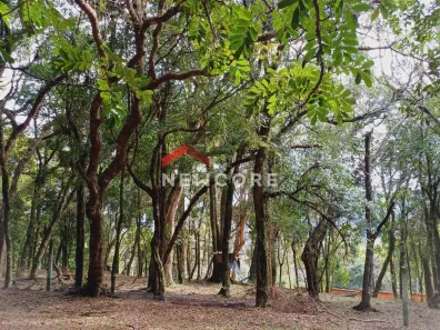 Lote/Terreno à venda, 1095m² no São Virgílio, Caxias do Sul