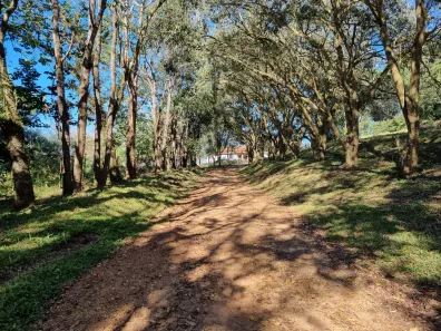 Fazenda/Sítio com 7 Quartos à venda, 2129600m² no , Itatinga