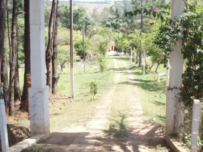 Fazenda/Sítio com 4 Quartos à venda, 7675m² no Área Rural de Bragança Paulista, Bragança Paulista