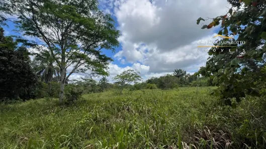 Lote/Terreno à venda, 97580m² no Trancoso, Porto Seguro